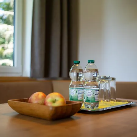 Ramsaueralm 3* رامساو أم داتشستين