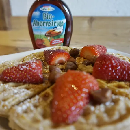 فندق Ramsaueralm رامساو أم داتشستين