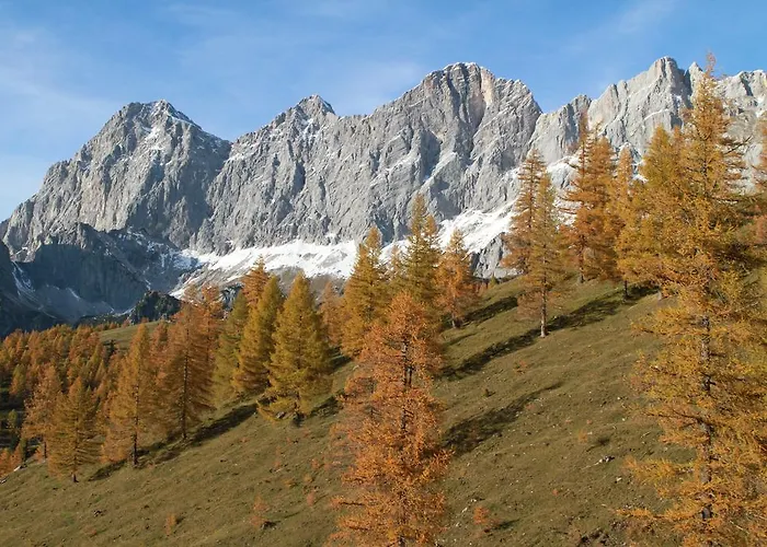 酒店 蓝索拉尔姆酒店 3*